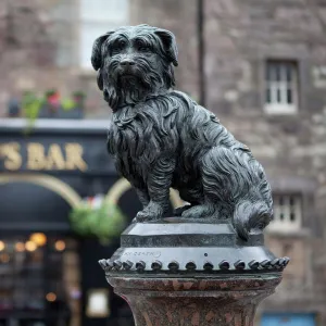 Greyfriars Bobby, Edinburgh, Scotland, United Kingdom, Europe