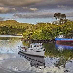 The harbour at Glengarriff, County Cork, Munster, Republic of Ireland, Europe