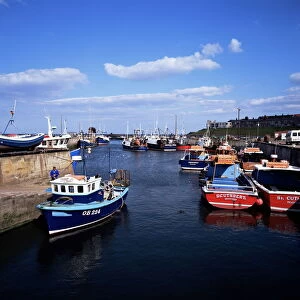 Harbour, Seahouses, Northumberland, England, United Kingdom, Europe
