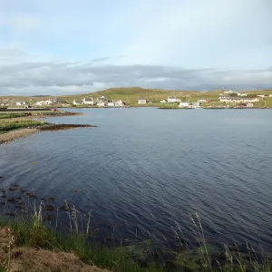 Harbour at Walls, Shetland, Shetland Islands, Scotland, United Kingdom, Europe