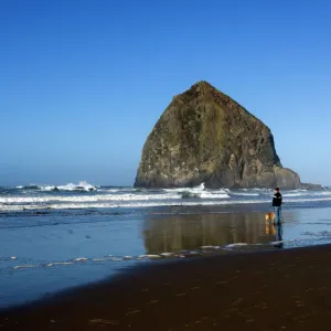 Haystack Rock, Cannon Beach, Oregon, United States of America, North America