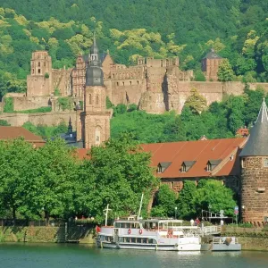 Heidelberg Castle Print Heidelberg Castle Print