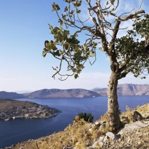 Island of Symi