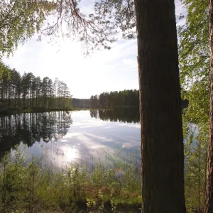 Lake Pihlajavesi, Punkaharju Nature Reserve, Punkaharju Ridge, Saimaa Lake District