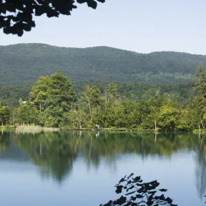 Lake, Plitvice Lakes National Park, UNESCO World Heritage Site, Croatia, Europe