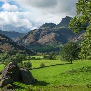 Langdale Pikes, Langdale Valley, English Lake District National Park, Cumbria, England