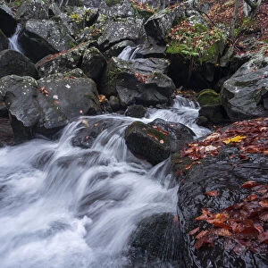 Long exposure of a waterfall flowing between rocks in a wood during autumn, Emilia Romagna, Italy, Europe