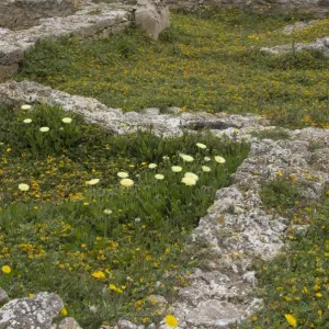 Tunisia Heritage Sites Photographic Print Collection: Punic Town of Kerkuane and its Necropolis