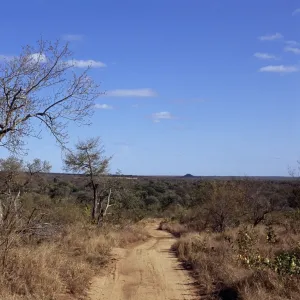 Mala Mala Game Reserve