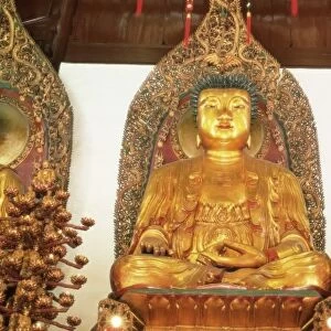 Medicine, Sakyamuni and Amithaba gold Buddha statues, Heavenly King Hall