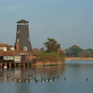 Hampshire Photo Mug Collection: Langstone