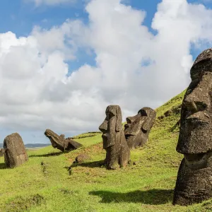 Moai sculptures in various stages of completion at Rano Raraku, the quarry site for all moai on Easter Island, Rapa Nui National Park, UNESCO World Heritage Site, Easter Island (Isla de Pascua), Chile, South America