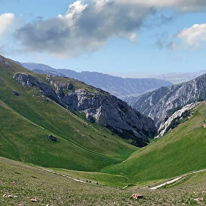 Moldo Ashuu Pass, Naryn Region, Kyrgyzstan, Central Asia, Asia