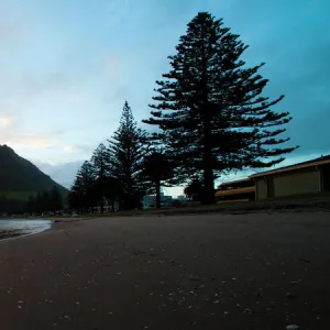 New Zealand Collection: Tauranga