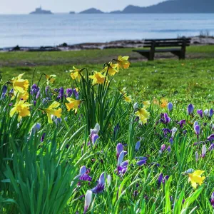 Mumbles, Swansea, Wales, United Kingdom, Europe