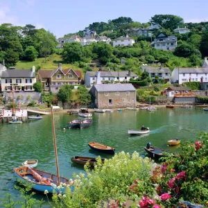 Devon Collection: Noss Mayo