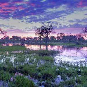 Okavango Delta, Botswana, Africa