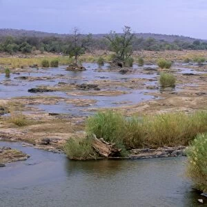 Olifants river, Kruger National Park, South Africa, Africa