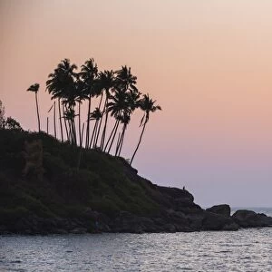 Palm trees silhouetted at Palolem Beach at sunset, Goa, India, Asia