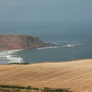 Scotland Photo Mug Collection: Berwickshire