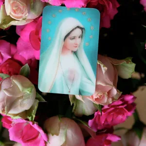 Picture of the Virgin Mary with roses, Paris, France, Europe