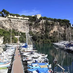 Port de Fontvieille, Fontvieille Harbor, The Rock, Grimaldi Palace, Royal Palace, Monaco, Cote d Azur, Mediterranean, Europe
