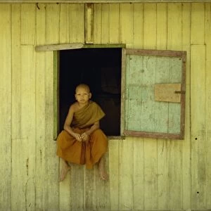 Portrait of a young monk at Wat Phawtpo in Chiang Mai