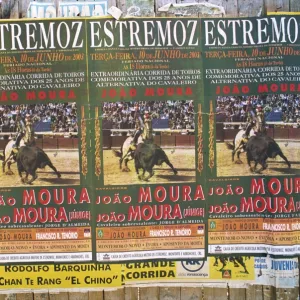 Posters, Salamanca