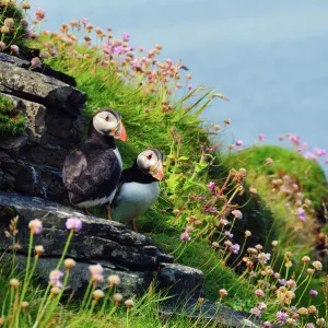 Scotland Photo Mug Collection: Orkney