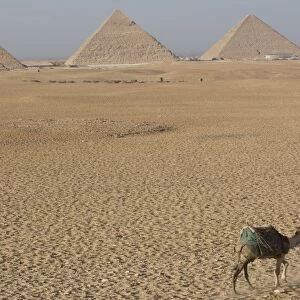 The Pyramids of Mycerinus, Cheops and Chephren, Giza, UNESCO World Heritage Site