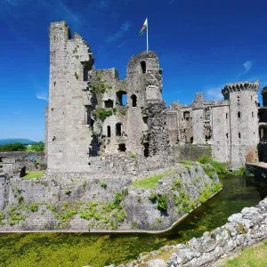 Raglan Castle, Monmouthshire, Wales, United Kingdom, Europe