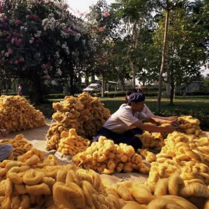 Raw silk, Thailand