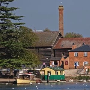River Avon, Stratford-upon-Avon, Warwickshire, England, United Kingdom, Europe