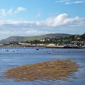 River Conwy estuary looking to Deganwy and Great Orme, Llandudno, in summer, Gwynedd, North Wales, United Kingdom, Europe