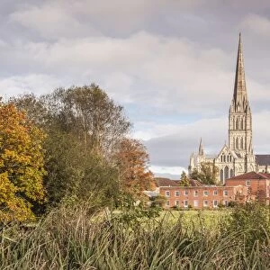 Salisbury Cathedral from the West Harnham Water Meadows, Salisbury, Wiltshire, England