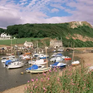 Seaton è una località nella contea del Devon in Inghilterra nel Regno Unito d'Europa Seaton è una località nella contea del Devon in Inghilterra nel Regno Unito d'Europa