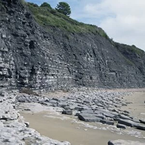Sedimentary rocks, blue lias, shale-limestone sequences, Lyme Regis, Jurassic coast