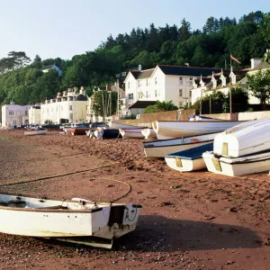 Devon Metal Print Collection: Shaldon