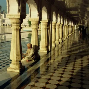 Sikh elder at prayer at the Golden Temple of Amritsar