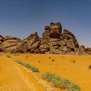 Saudi Arabia Heritage Sites Collection: Rock Art in the Hail Region of Saudi Arabia