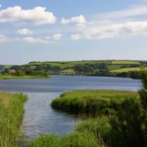 Devon Photographic Print Collection: Marsh