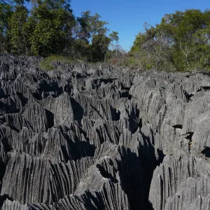 Madagascar Heritage Sites Gallery: Tsingy de Bemaraha Strict Nature Reserve
