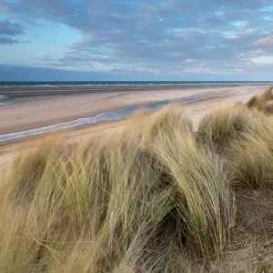 A spring evening at Holkham Bay, Norfolk, England