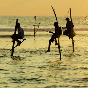 Stilt fishermen, Dalawella, Sri Lanka, Indian Ocean, Asia