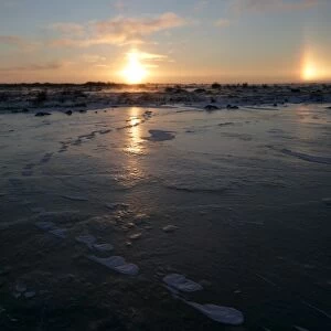 Sun dogs, polar bear tracks, Churchill, Hudson Bay, Manitoba, Canada, North America