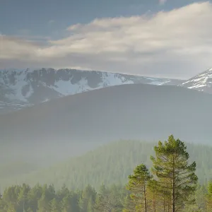 Sunrise over the Cairngorm Mountains and Loch Morlich, Scotland, United Kingdom, Europe