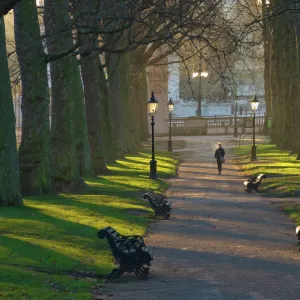 December Gallery: 2 Dec 2012