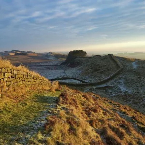 December Gallery: 13 Dec 2012