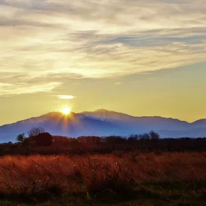 March Gallery: 17 Mar 2014