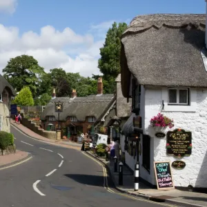 Thatched houses, teashop and pub, Shanklin, Isle of Wight, England, United Kingdom